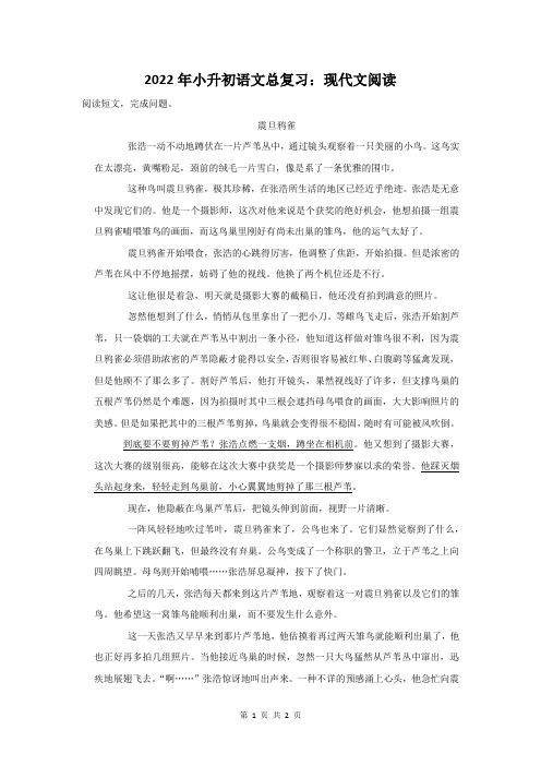 2022年小升初语文总复习：现代文阅读 (5)