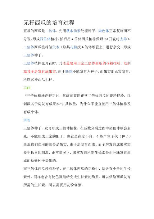 无籽西瓜