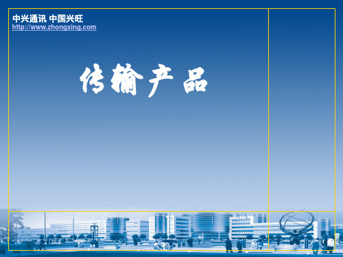 4-ZXSM-10G2500E设备介绍讲解
