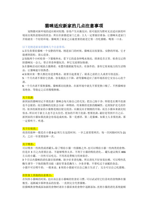 小奶猫去新家注意事项