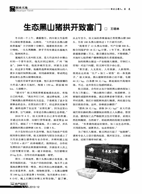 生态黑山猪拱开致富门