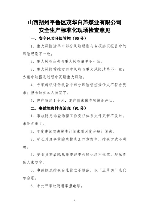 白芦煤业有限公司安全生产标准化现场检查意见(2)