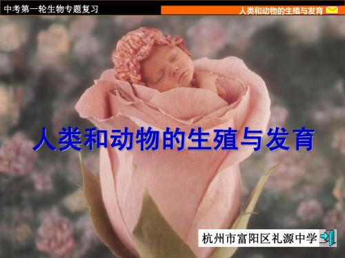 人类和动物的生殖与发育