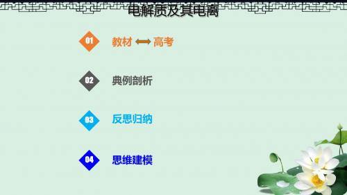 2019届高考化学总复习第2章化学物质及其变化第2讲离子反应离子方程式2.2.1电解质及其电离考点课件新人教版