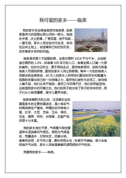我的家乡(临泉介绍)