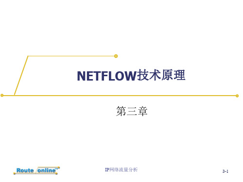 s03-流量分析技术-netflow