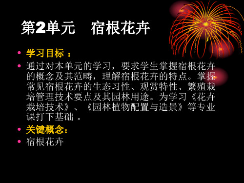 第三篇2单元宿根花卉 园林花卉电子教案