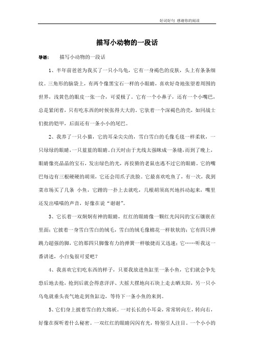 描写小动物的一段话