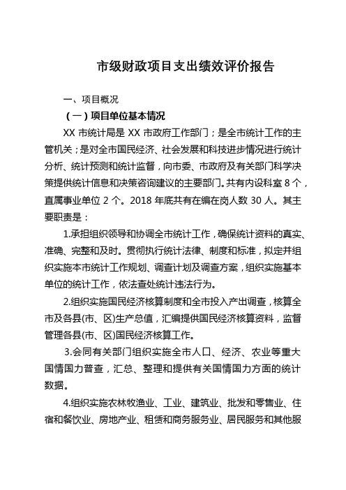 市级财政项目支出绩效评价报告【模板】