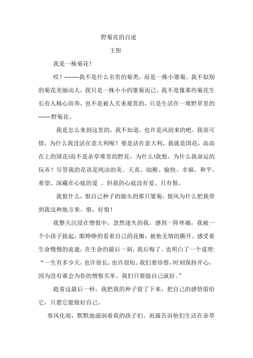 野菊花的自述