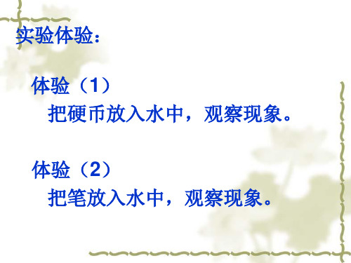 34探究光的折射规律