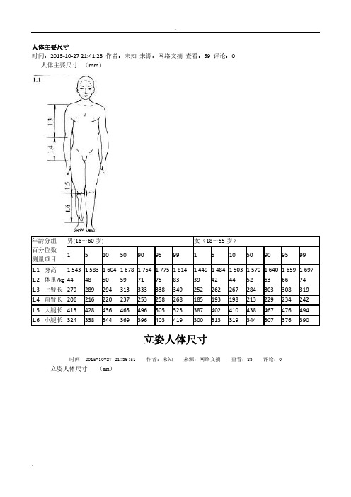 人体主要尺寸