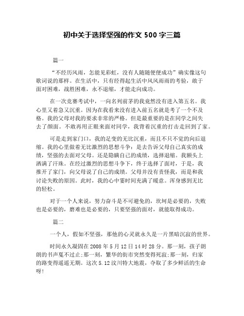 初中关于选择坚强的作文500字三篇