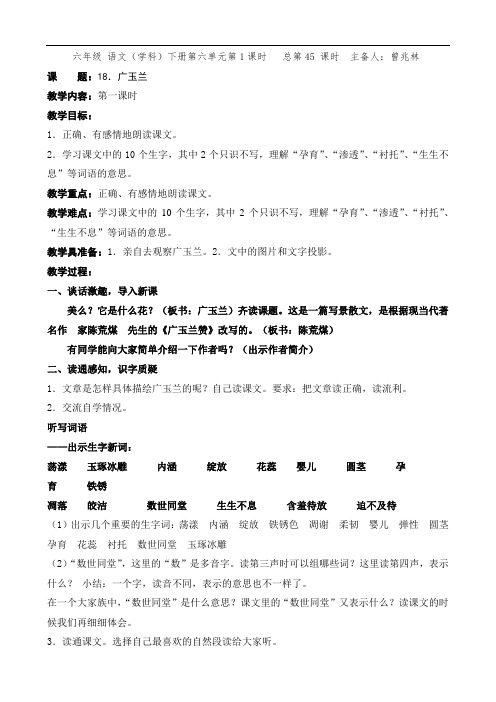 六年级下册语文教案-18.广玉兰-