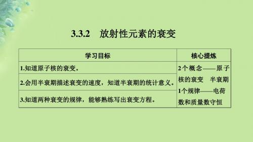 高考物理 主题三 原子与原子核 3.3 原子核 3.3.2 放射