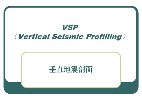 垂直地震剖面