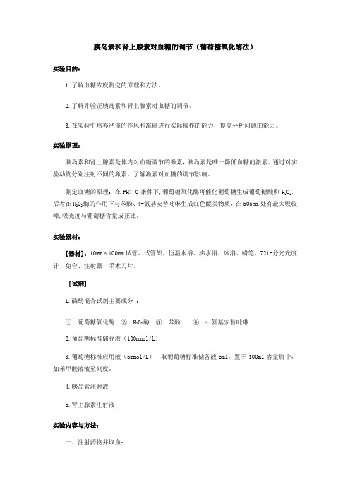 胰岛素和肾上腺素对血糖的调节