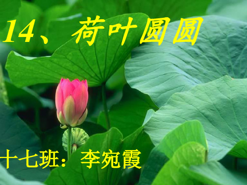 (部编)人教语文2011课标版一年级下册荷叶圆圆说课课件