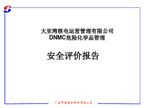 大亚湾核电站危险化学品安全评价报告