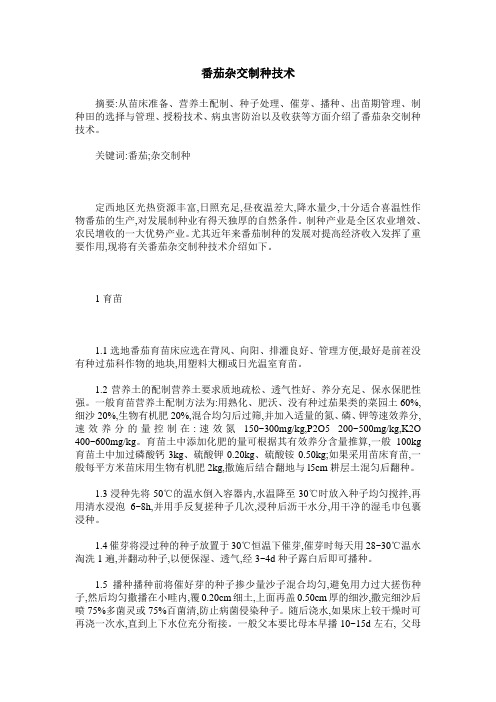 番茄杂交制种技术