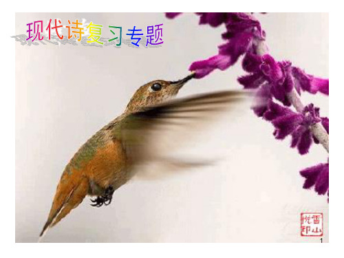 中考现代诗歌欣赏专题复习ppt课件