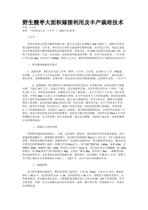 野生酸枣大面积嫁接利用及丰产栽培技术