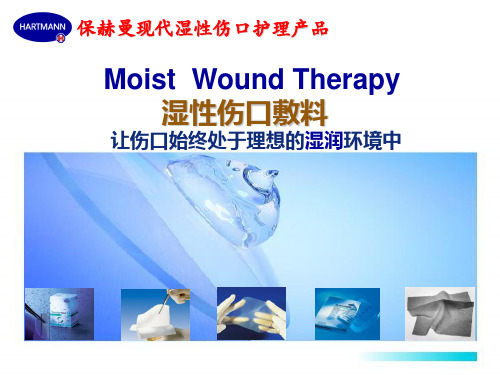 压疮敷料课件-PPT课件