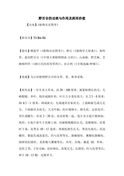 野百合的功效与作用及药用价值