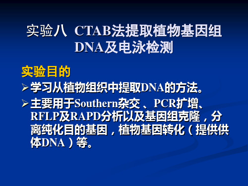 8.实验八CTAB法提取植物基因组DNA及电泳检测