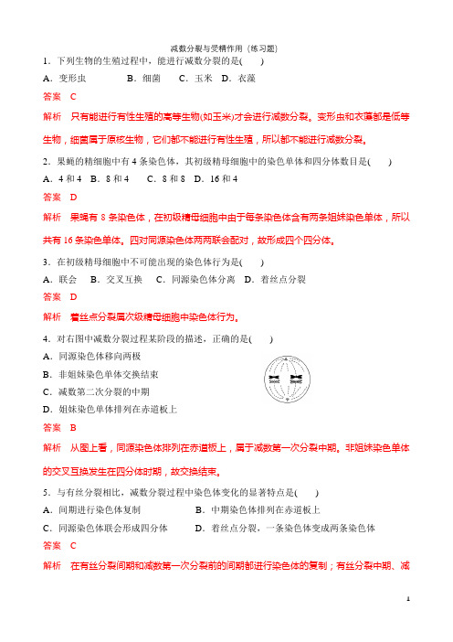 减数分裂与受精作用(练习题)——解析版 (1)