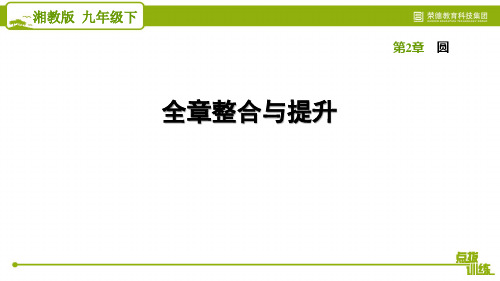 2021春湘教版九年级数学下册 第2章 全章整合与提升