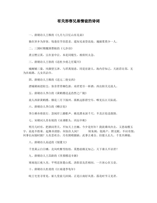 有关形容兄弟情谊的诗词