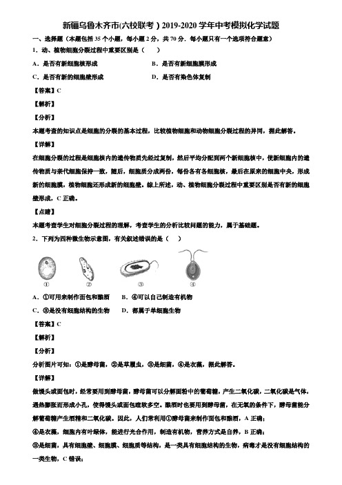 新疆乌鲁木齐市(六校联考)2019-2020学年中考模拟化学试题含解析