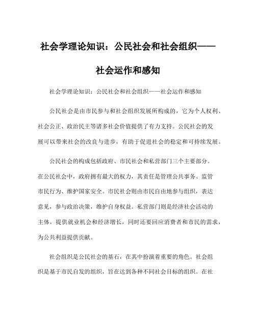 社会学理论知识：公民社会和社会组织——社会运作和感知