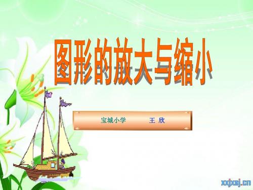 图形的放大与缩小PPT课件