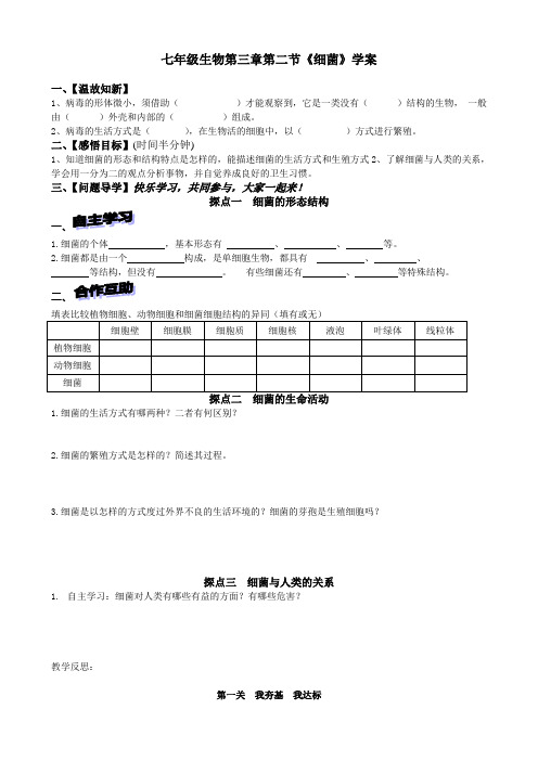 济南版生物七上2.3.2细菌 学案设计(无答案)