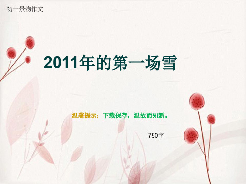 初一景物作文《2011年的第一场雪》750字