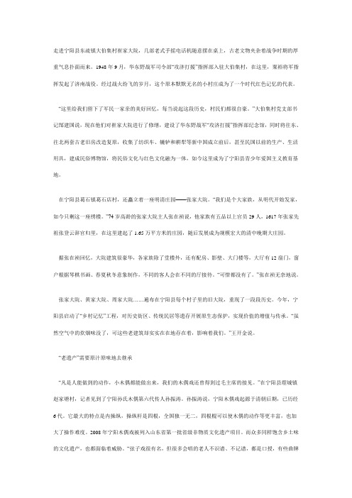 走进宁阳县东疏镇大伯集村崔家大院