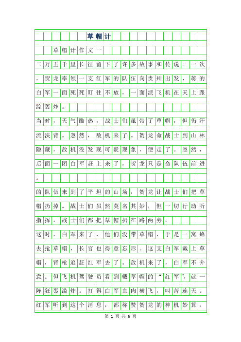2019年草帽计作文300字
