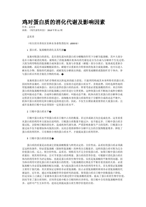 鸡对蛋白质的消化代谢及影响因素