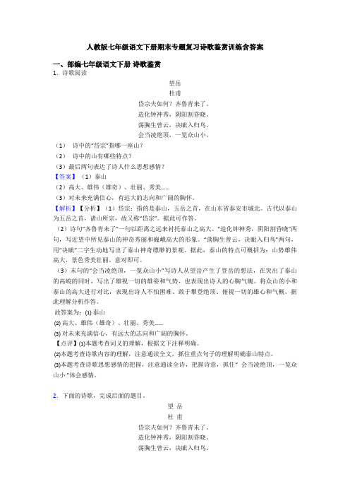 人教版七年级语文下册期末专题复习诗歌鉴赏训练含答案