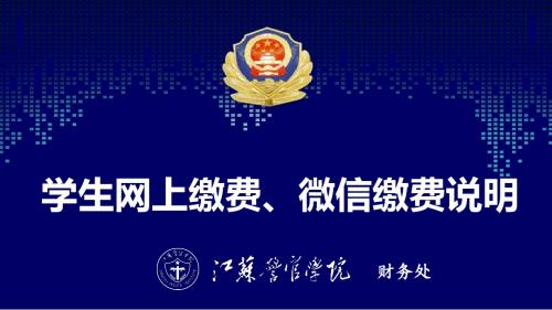 信息技术与公安工作