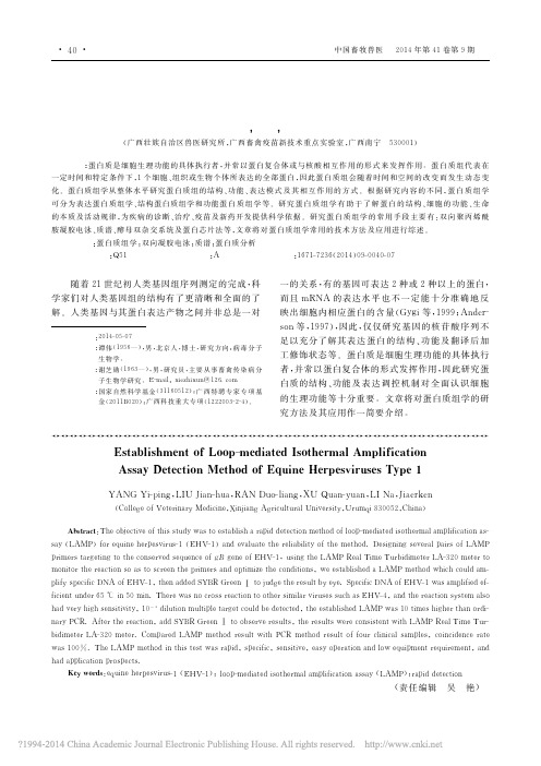 蛋白质组学研究方法及应用的研究进展_谭伟