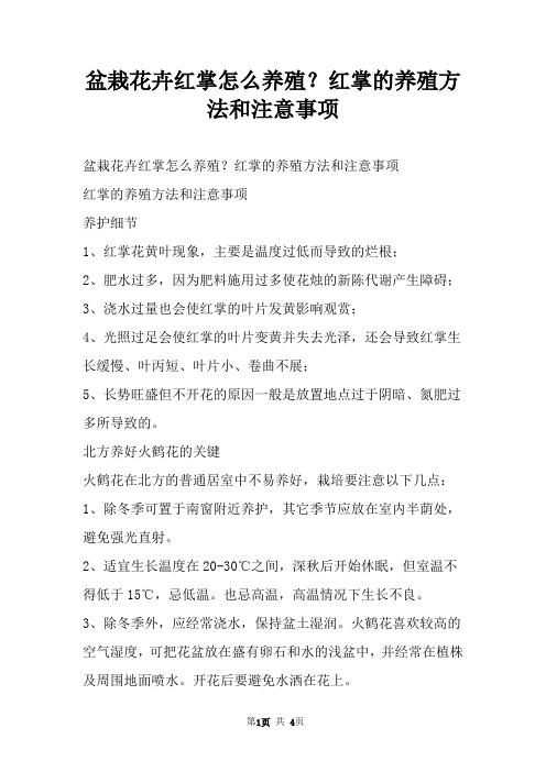 盆栽花卉红掌怎么养殖？红掌的养殖方法和注意事项