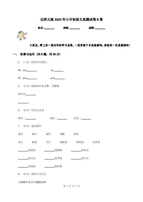 北师大版2020年小升初语文真题试卷B卷
