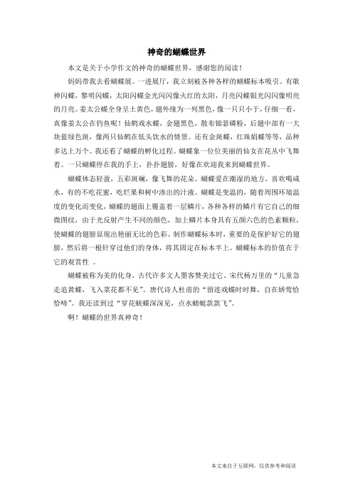 神奇的蝴蝶世界_小学作文