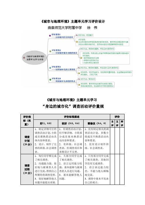《城市与地理环境》主题单元评价量规(徐伟)