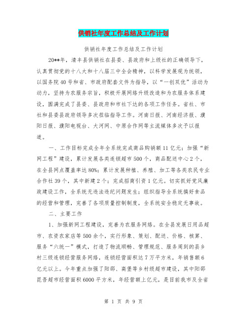 供销社年度工作总结及工作计划【可编辑版】