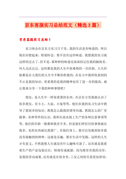 京东客服实习总结范文(精选3篇)