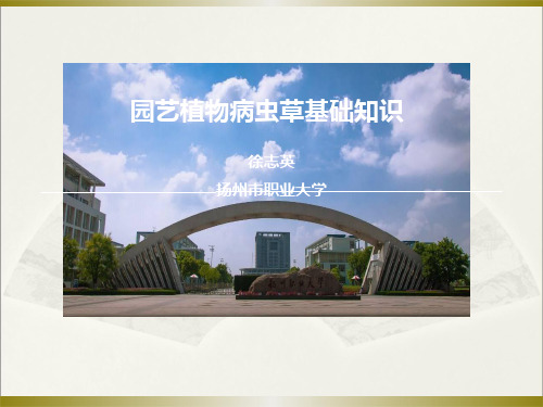 园艺植物病虫草基础知识01-PPT-昆虫重要类群的识别_8